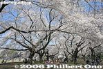 036-IMG_9320.jpg