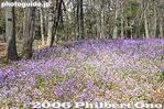 018-IMG_9405.jpg