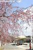 048-IMG_9467.jpg