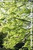 036-IMG_1003.jpg