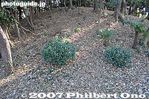 ko434-IMG_0862.jpg