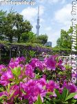 km315-P1050069.jpg