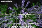km516-20170504_8443.jpg