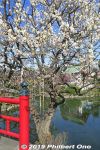 Filename=km209h-20190223_6660.jpg
Filesize=66KiB
Dimensions=400x600
Date added=Apr 02, 2021 km209h-20190223_6660.jpg