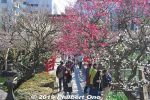 Filename=km220d-20190223_6693.jpg
Filesize=68KiB
Dimensions=600x400
Date added=Apr 02, 2021 km220d-20190223_6693.jpg