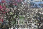 Filename=km220g-20190223_6696.jpg
Filesize=69KiB
Dimensions=600x400
Date added=Apr 02, 2021 km220g-20190223_6696.jpg