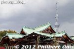 km253-20120325_5522.jpg
