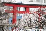 Filename=km275-20120325_5576.jpg
Filesize=36KiB
Dimensions=400x267
Date added=Mar 31, 2012 km275-20120325_5576.jpg