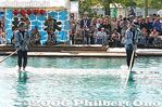 005-IMG_0127.jpg
