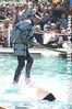 010-IMG_0145.jpg