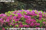 Filename=030-9320-17.jpg
Filesize=31KiB
Dimensions=400x259
Date added=May 03, 2007 030-9320-17.jpg