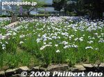 Filename=ko403-IMG_3699.jpg
Filesize=41KiB
Dimensions=400x300
Date added=Mar 04, 2015 ko403-IMG_3699.jpg
