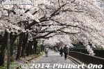 Filename=se303-20140331-1366.jpg
Filesize=39KiB
Dimensions=400x267
Date added=Mar 04, 2015 se303-20140331-1366.jpg