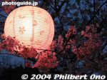 Filename=se339-123_2373.jpg
Filesize=28KiB
Dimensions=400x300
Date added=Mar 04, 2015 se339-123_2373.jpg