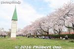 Filename=so153-20160401_6716.jpg
Filesize=38KiB
Dimensions=500x333
Date added=Jun 13, 2017 so153-20160401_6716.jpg