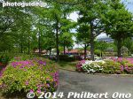 Filename=so208-P1040818.jpg
Filesize=41KiB
Dimensions=400x300
Date added=Mar 04, 2015 so208-P1040818.jpg