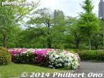 Filename=so240-P1040902.jpg
Filesize=37KiB
Dimensions=400x300
Date added=Mar 04, 2015 so240-P1040902.jpg