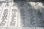 th039-IMG_3159.jpg