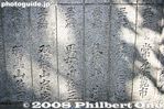th041-IMG_3164.jpg