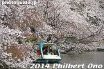 in223-20140401-1895.jpg