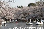 in227-20140401-2234.jpg