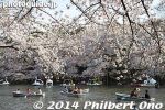 in231-20140401-2221.jpg