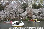 in255-20140401-2009.jpg