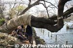 in267-20140401-2054.jpg