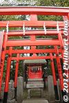 nt142-20120513_8091.jpg