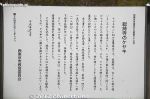 Filename=nt310-20120513_8159.jpg
Filesize=56KiB
Dimensions=800x533
Date added=Jan 22, 2013 nt310-20120513_8159.jpg