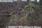 084-IMG_5457.jpg