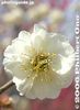 075-IMG_8298.jpg