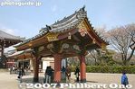 ik652-IMG_3095.jpg
