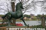 019-IMG_3283.jpg