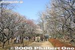 009-IMG_7061.jpg