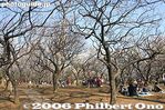 014-IMG_7076.jpg
