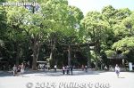 Filename=ms204-20140510-5484.jpg
Filesize=49KiB
Dimensions=500x333
Date added=Sep 07, 2016 ms204-20140510-5484.jpg