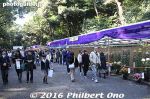 Filename=ms812-20161103-3522.jpg
Filesize=53KiB
Dimensions=500x333
Date added=Jun 15, 2017 ms812-20161103-3522.jpg