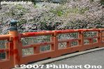 sh564-IMG_3010.jpg