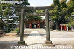 sh429-IMG_2955.jpg