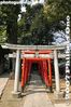 sh434-IMG_2972.jpg