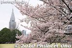 sg121-20100404_6903.jpg