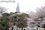 sg144-20100404_7005.jpg