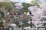 sg145-20100404_7000.jpg