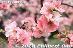 sg166-20100404_7092.jpg