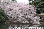 sg178-20100404_7138.jpg