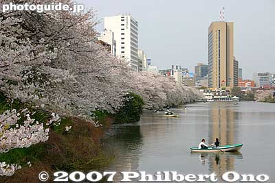 How it looks from the end of the moat.
Keywords: tokyo shinjuku-ku ward sotobori moat canal cherry blossoms sakura flowers rowboats