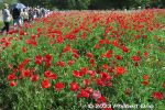 Filename=sk429-20230504_1814.jpg
Filesize=70KiB
Dimensions=600x400
Date added=May 19, 2023 sk429-20230504_1814.jpg