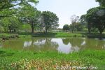 Filename=sk456-20230504_1912.jpg
Filesize=45KiB
Dimensions=600x400
Date added=May 19, 2023 sk456-20230504_1912.jpg