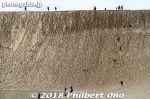 tt106-20171230-1403.jpg